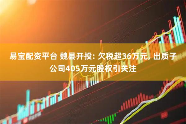 易宝配资平台 魏县开投: 欠税超36万元, 出质子公司405万元股权引关注